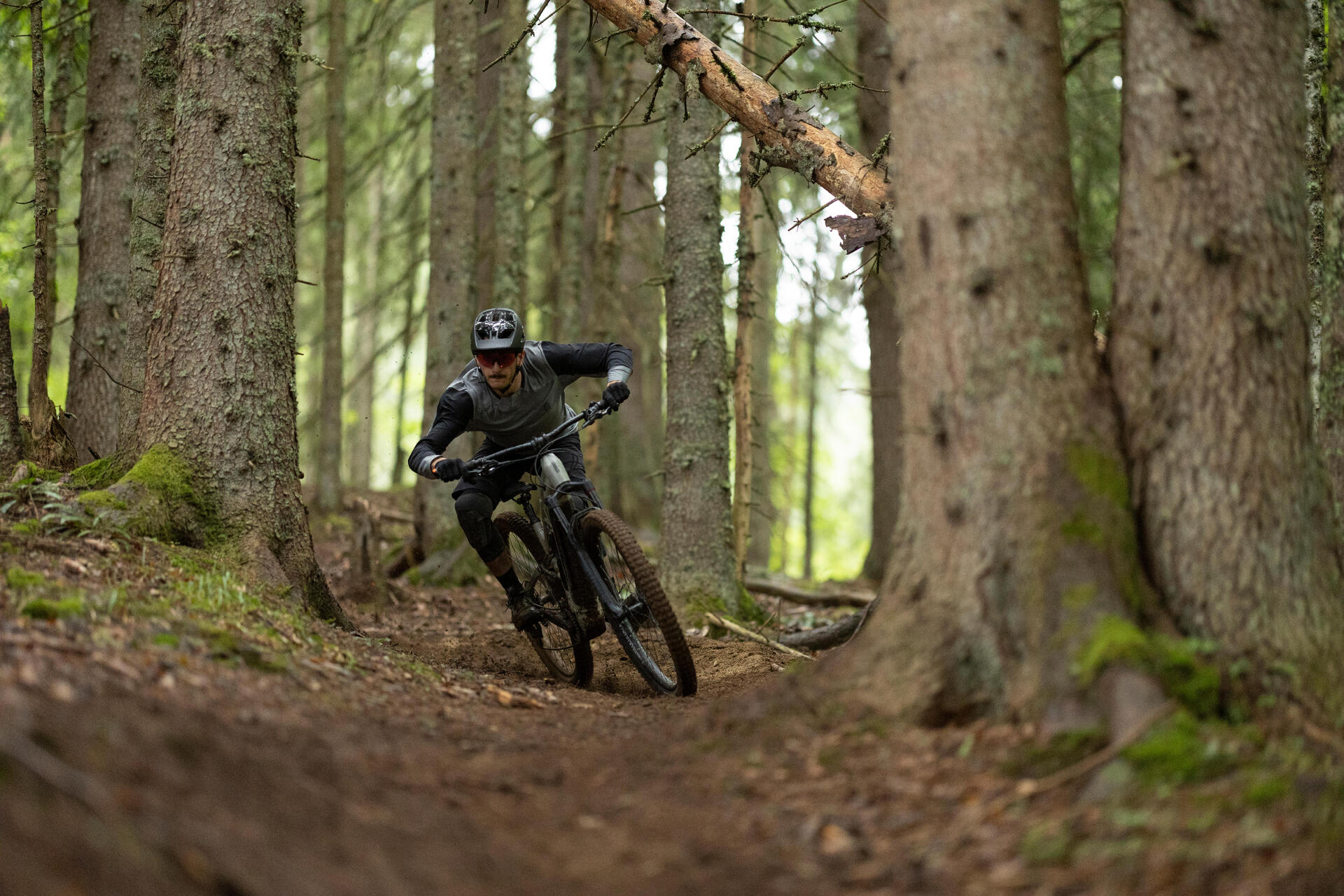 9 - VELEO ELECTRO THEC