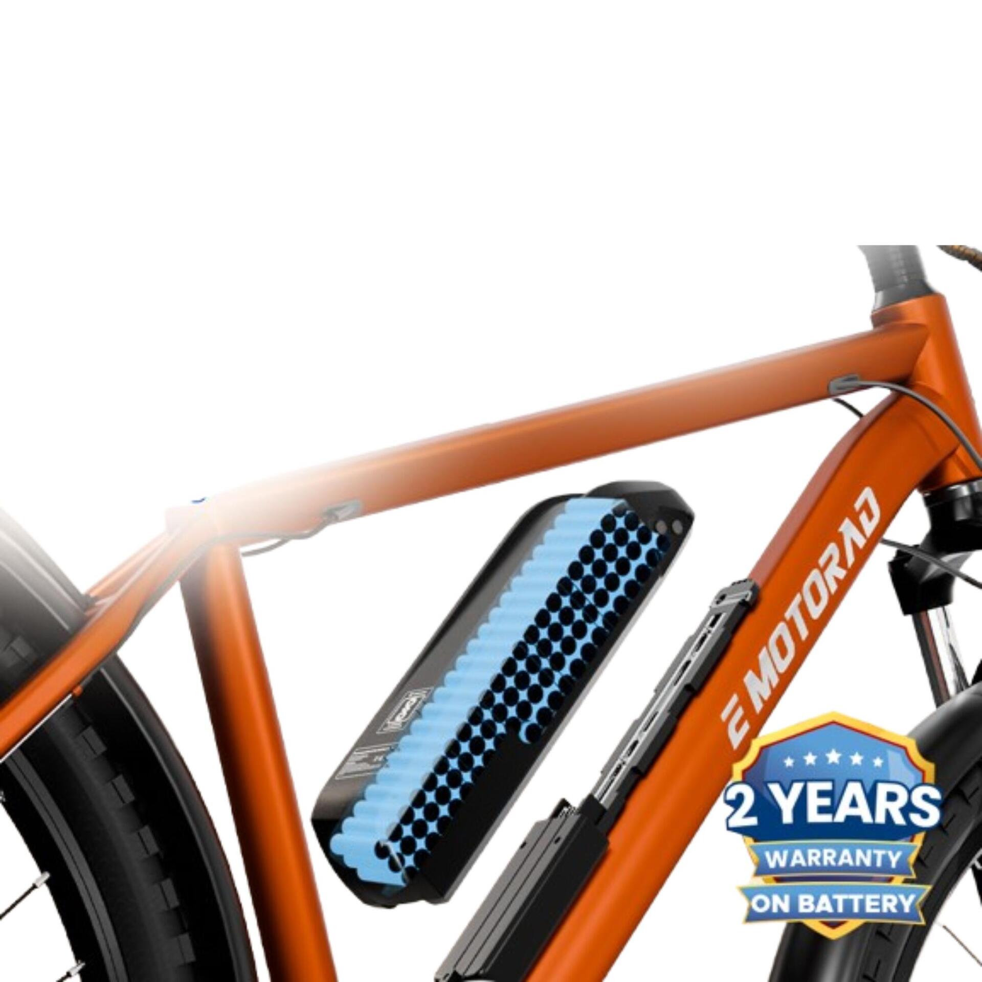 image2 - VELEO ELECTRO THEC